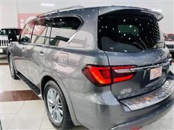 انفنتي QX80